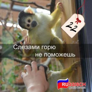 Sammlung - Russische Fragewörter